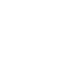 lexus2